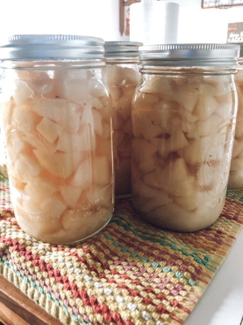 Boiled and canned potatoes.