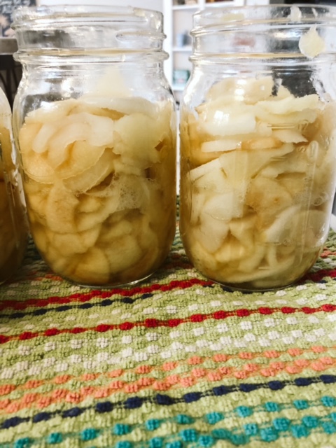 Apple slices packed to the hips of the jars.