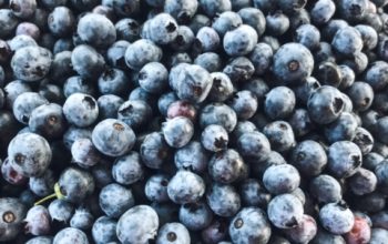 5 Blueberry Ideas