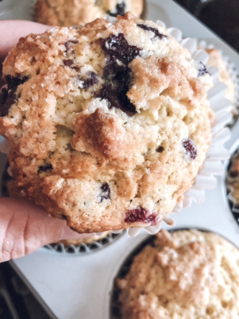 Bakery style blueberry muffins.