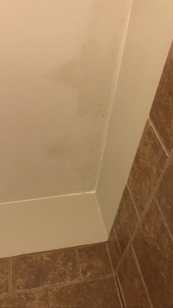 These are mildew spots. You can see they've been scrubbed before. Use some elbow grease and cleaning paste to get them off.